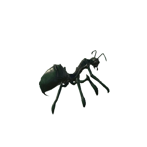 insect1_skin2_basemesh Variant